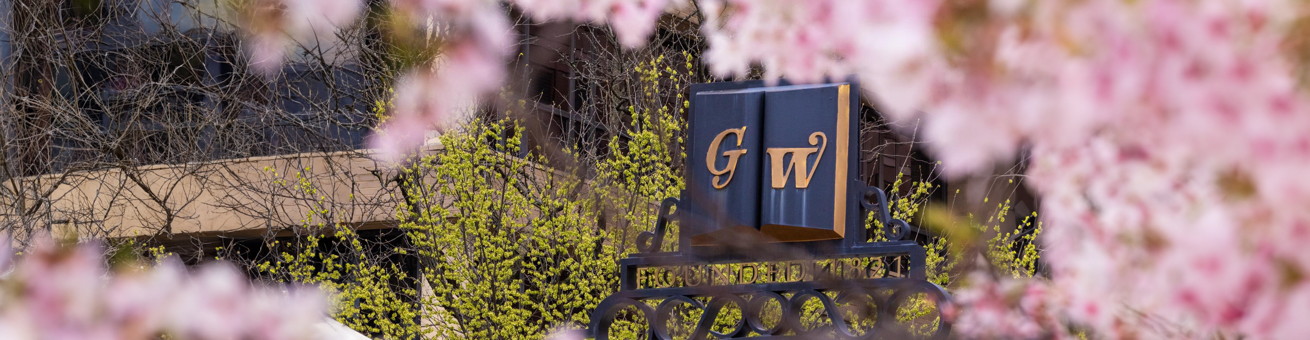 Cherry Blossom at the Trustees Gate
