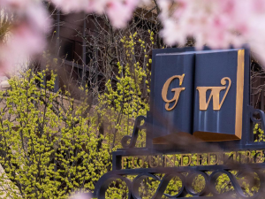 Cherry Blossom at the Trustees Gate